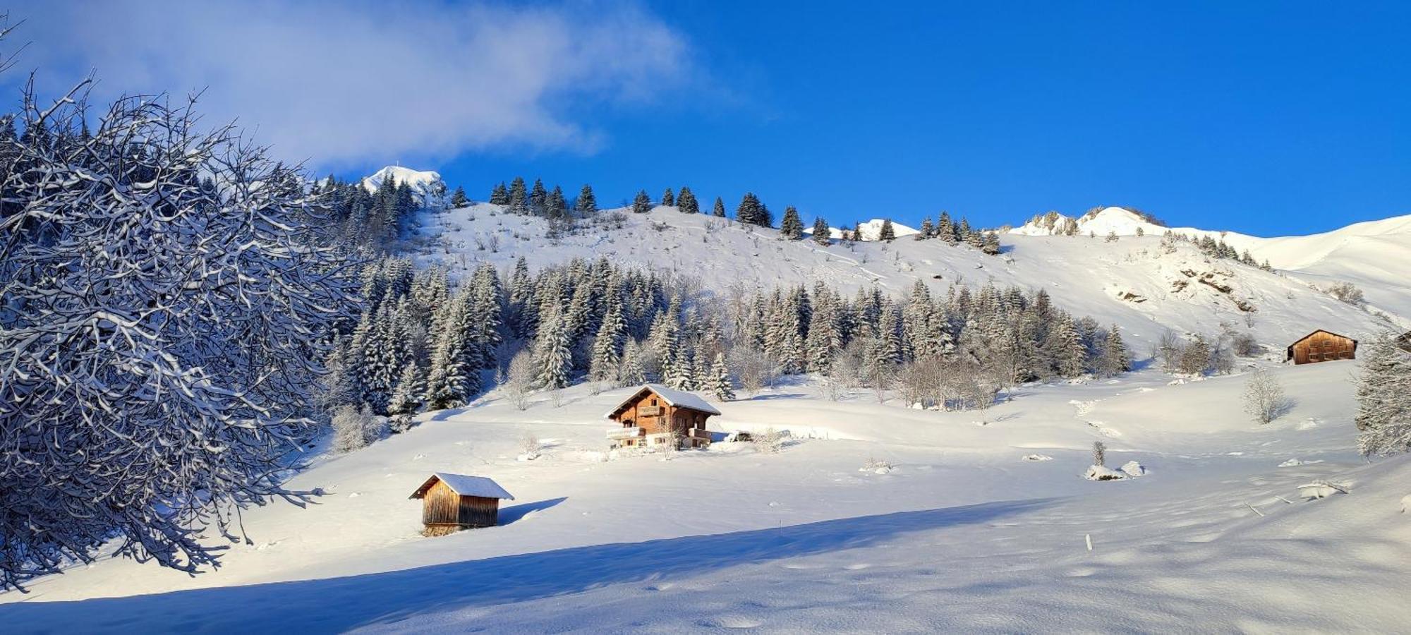 Le Taconet Hotel Le Praz de Lys Buitenkant foto